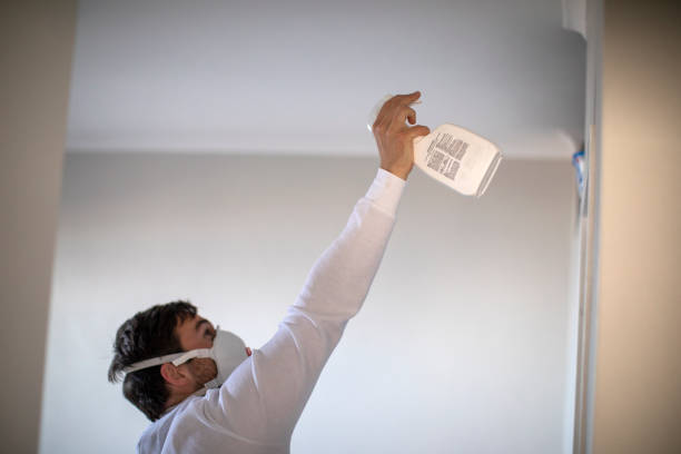 Best Localized Mold Remediation (e.g., coastal areas, humid climates) in Pulaski, VA