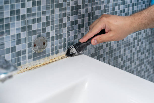 Best Mold Remediation for Schools in Pulaski, VA